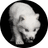 REMUS