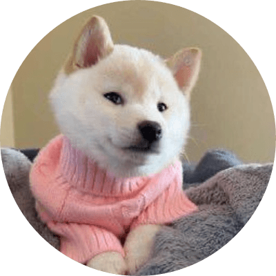 New Doge  logo