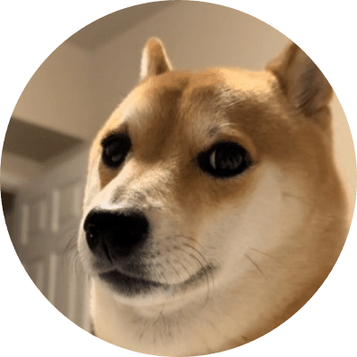 New Doge logo