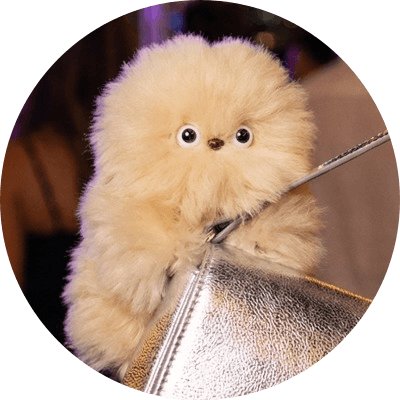 New Robotic AI Purse Pet logo