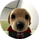 Newborn Doge
