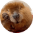 NIBI