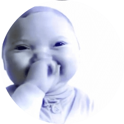 Niche Baby logo