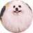 NICO