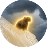 Nietzschean Brown Bear
