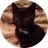 NIGI