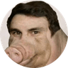 NIKITA BOAR