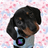 NIKY