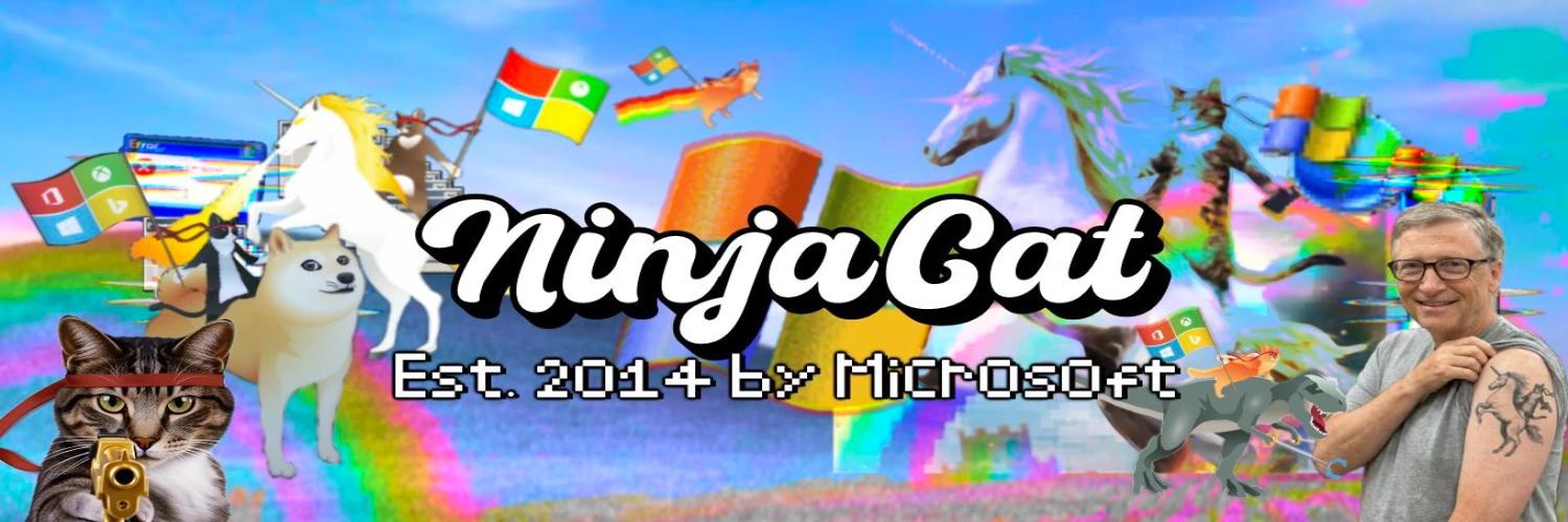 NinjaCatOnFireBreathingUnicorn banner