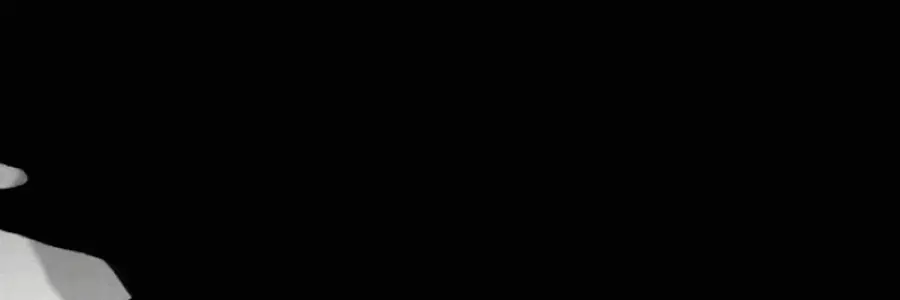 NO banner