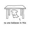 no one believes in this