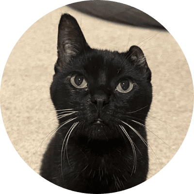 No1 TikTok Cat logo