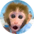 BonBon