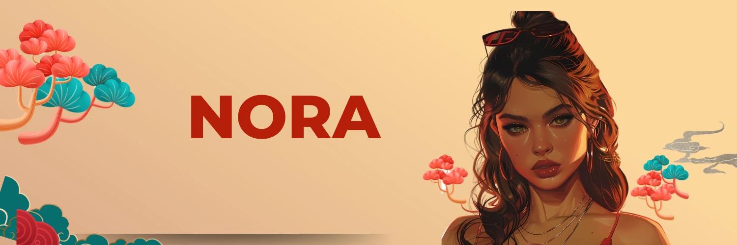 NORA banner