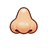 NOSE