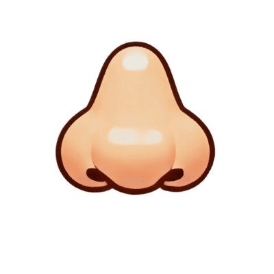 Nose Ai logo