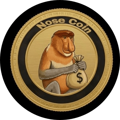 NOSE COIN logo