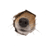 nose