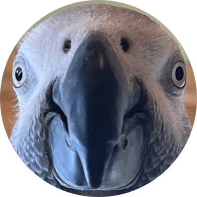Nr. 1 Parrot on the Internet logo