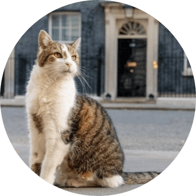 Number 10 Cat logo