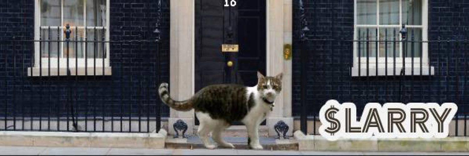 Number 10 Cat banner