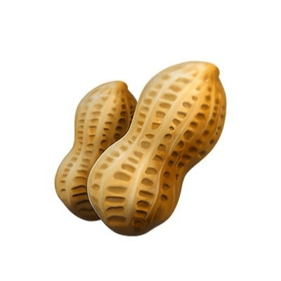Nut Inu logo
