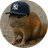 Sqrat