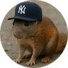 NYC Squirrel Rat