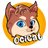 Ocicat
