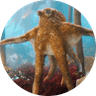 Okto The Octopus