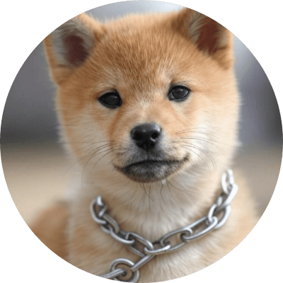 onchain dog logo