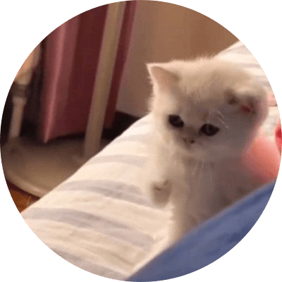 ONE PUNCH CAT logo