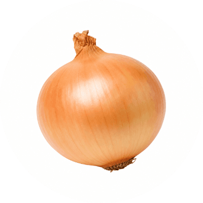 ONION logo