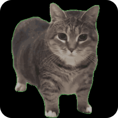 ooioi cat logo