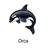 orca