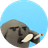 oof