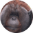 PATRICK