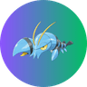 pCLAW Coin