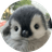 peanie