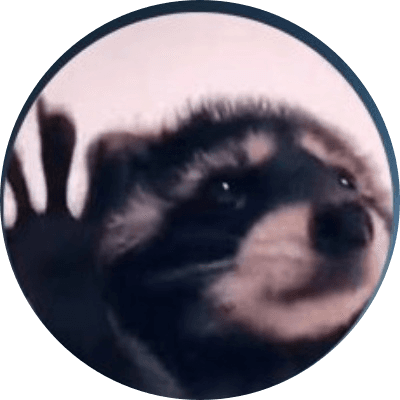 Pedro Raccoon logo