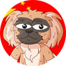 Pekingese Dog