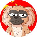 Pekingese Dog