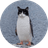 PAT