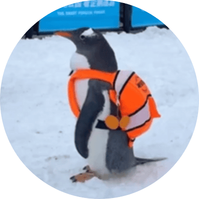 penguin wif backpack  logo