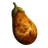 PENUS