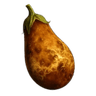 Penus
