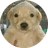 JOTCHUA