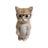 PHDKitty