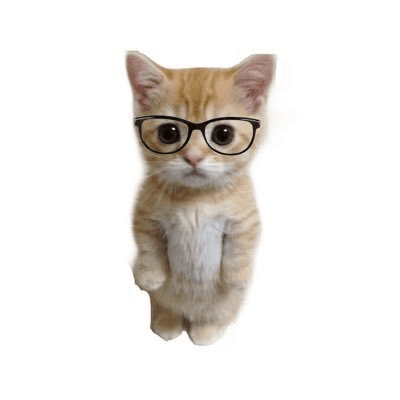 PHDKitty logo