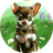 PIDOG